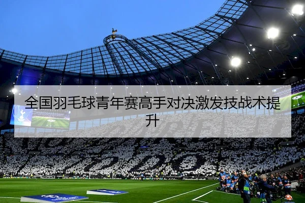 全国羽毛球青年赛高手对决激发技战术提升